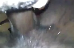 XXX యంగ్ ఆర్టిస్ట్ నగ్న గాడిద ఇబ్బంది పెట్టాడు అన్ని వద్ద