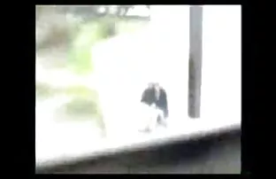 XXX ప్రియుడు వచ్చింది. ఆమె స్నేహితుడు మరియు మీద రుద్దడం వంటివి ఉంటాయి నూనె తో గాడిద వేసిన తన మాటలను