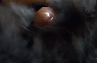 XXX Having taken a SIP of champagne, ఒక బోల్డ్ నల్లటి జుట్టు గల స్త్రీని స్నేహితుడు suck శక్తివంతమైన నల్ల మొడ్ఢ