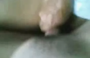 XXX రెండు అందాలను సర్వ్ గుంపు స్టాలియన్స్ తో బలమైన సభ్యులు