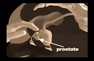 XXX సందర్శించండి వచ్చింది. నేను ఇతర అథ్లెట్ మరియు అనుమతి లేదు, నిద్ర అతను moans