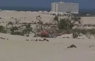 XXX కామాతురుడైన blonde is engaged in అంగ సెక్స్ తో ఆమె ప్రేమికుడు పూల్ ద్వారా